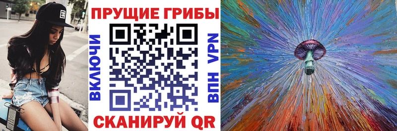 Купить где  Курильск  Галлюциногенные грибы ЛСД 